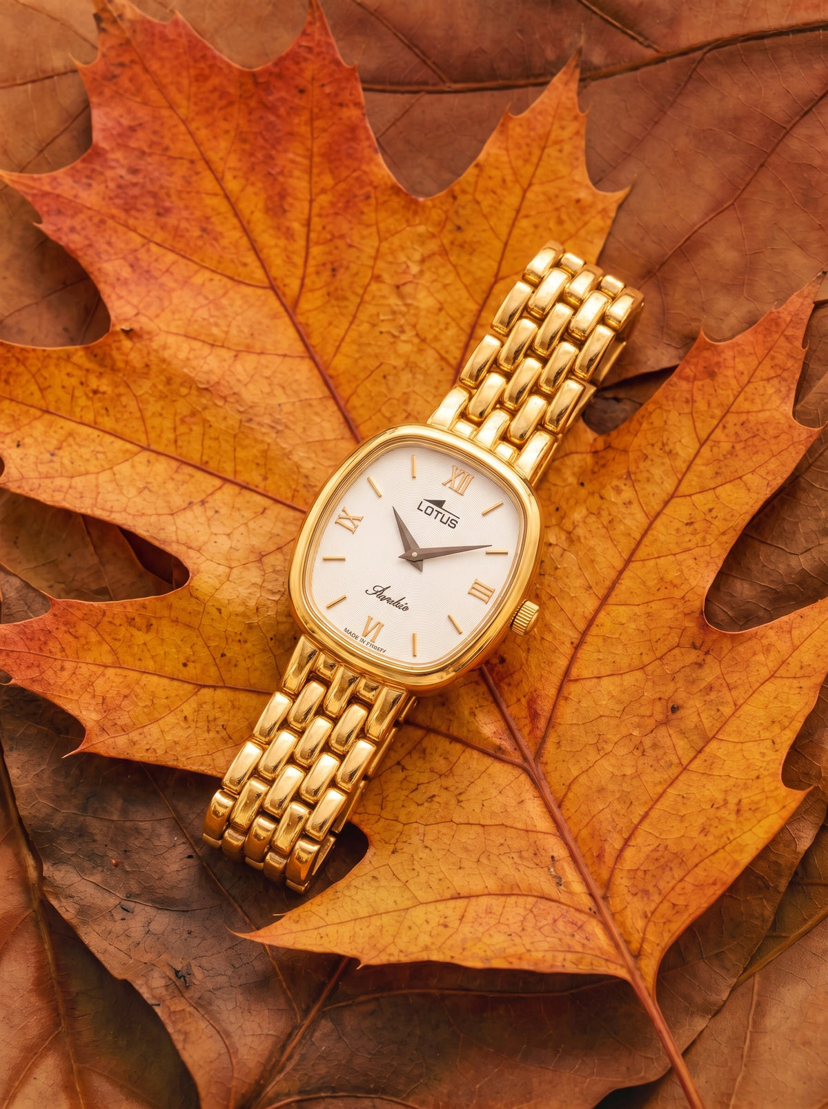 Relojes