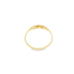 ANILLO CINTO