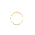 ANILLO CINTO