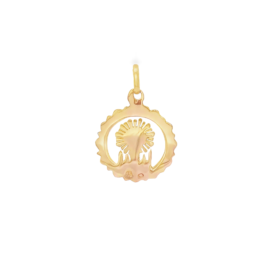 MEDALLA VIRGEN DEL PILAR