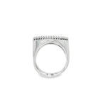 ANILLO V DE ORO BLANCO CON DIAMANTES
