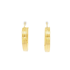 PENDIENTES ARO