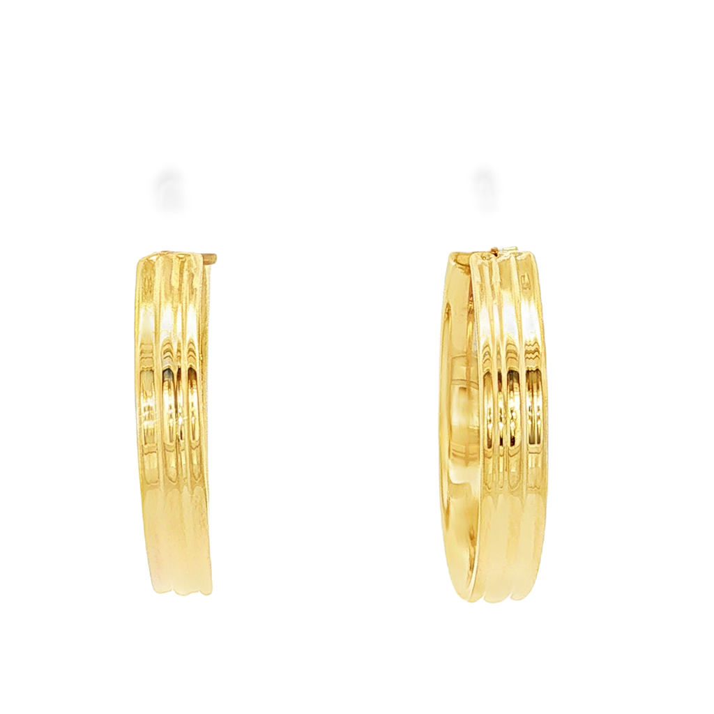 PENDIENTES ARO