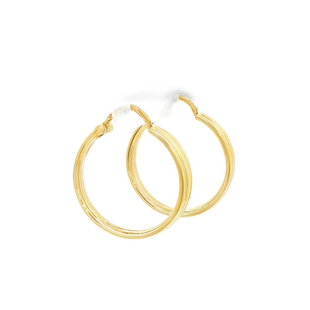PENDIENTES ARO