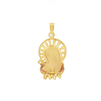 COLGANTE MEDALLA DE VIRGEN CON CIRCONITA