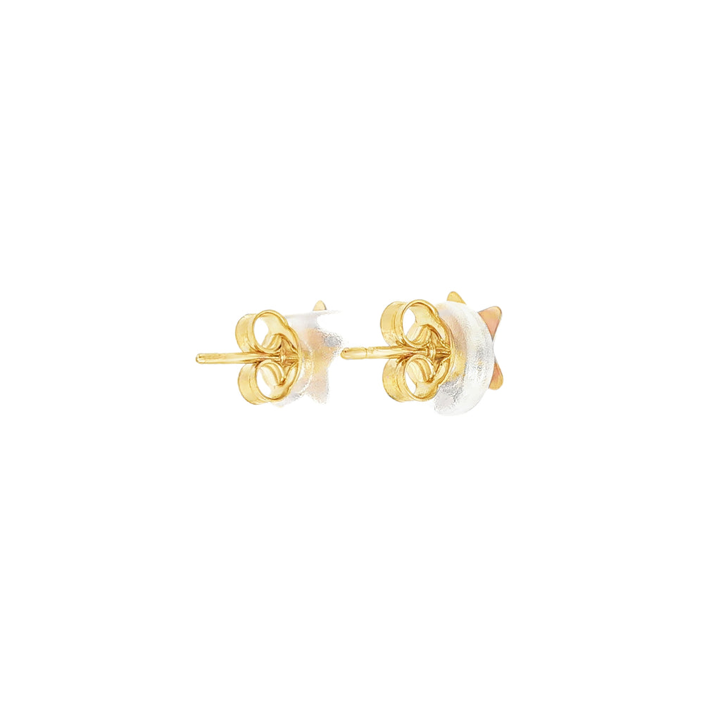 PENDIENTES ESTRELLAS