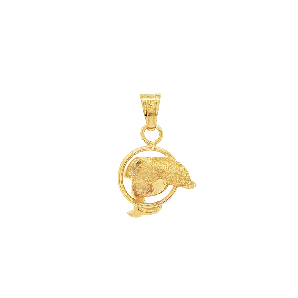 COLGANTE DELFIN CON ARO