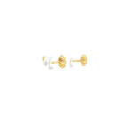 PENDIENTES TOUS