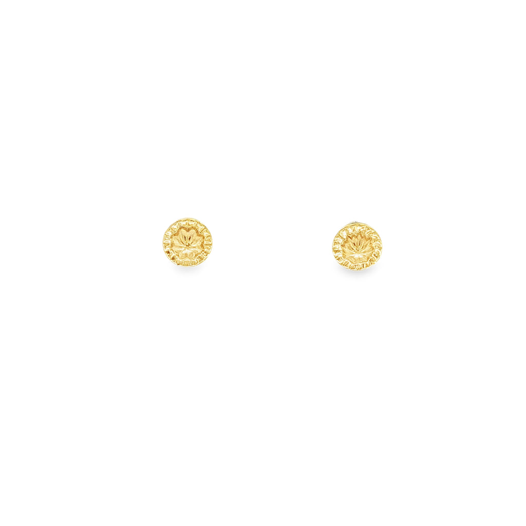 PENDIENTES CORAL AZUL CON CIRCONITAS