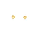 PENDIENTES CORAL AZUL CON CIRCONITAS