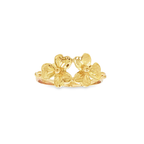 ANILLO 2 FLORES