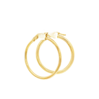 PENDIENTES DE ARO