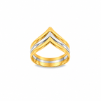 ANILLO PICO BICOLOR