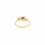 ANILLO 3 CIRCONITAS