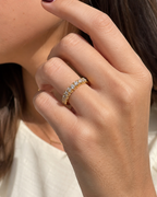 ANILLO MEDIA ALIANZA CON CIRCONITAS