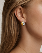 PENDIENTES BICOLOR