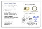 ALIANZA BICOLOR CON BRILLANTES