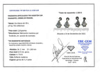 DORMILONAS BRILLANTE 0,33qt X 2 Y PENDIENTES ORO BLANCO Y BRILLANTES ROSETON