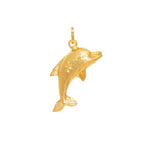 COLGANTE DELFIN