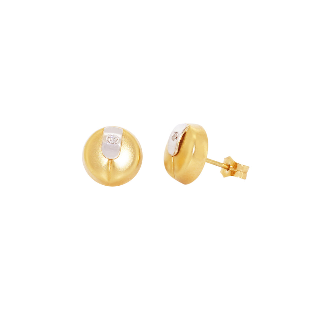PENDIENTES REDONDOS 2 COLORES CON CIRCONITA