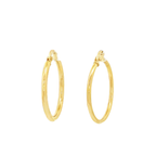 PENDIENTES DE ARO