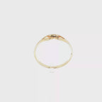 ANILLO CINTO